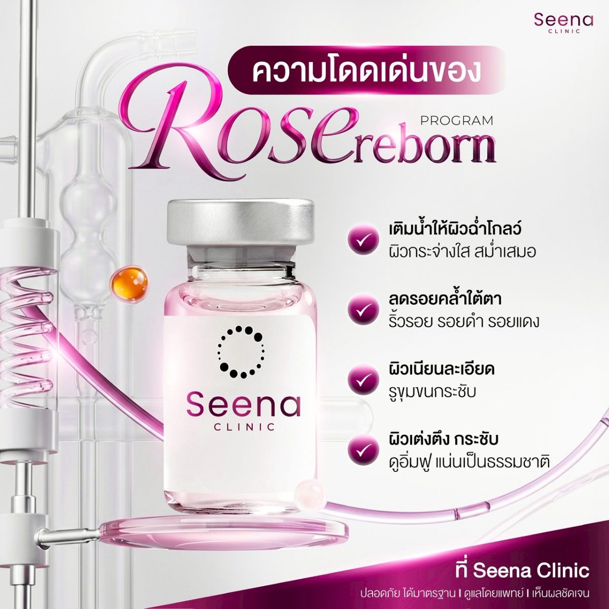 Rose reborn